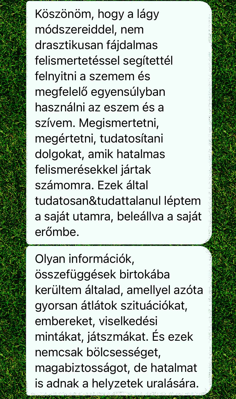 dorina visszajelzés